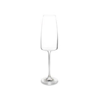 Verre à champagne 34 cl Villa - set / 4